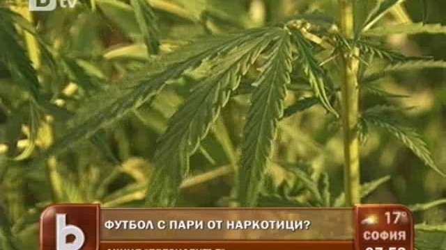 Снимка: Издържа ли се аматьорски футболен отбор от търговия с наркотици?