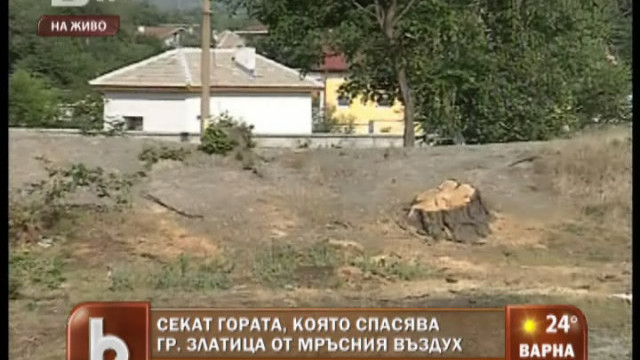 Снимка: Секат гора в гр. Златица, която жителите сами са залесили