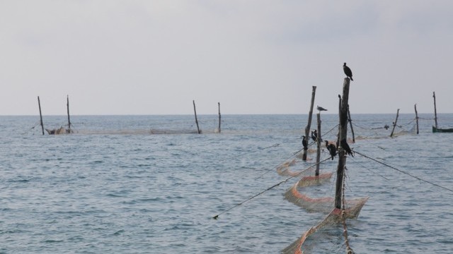 Снимка: Морето взе три жертви за ден