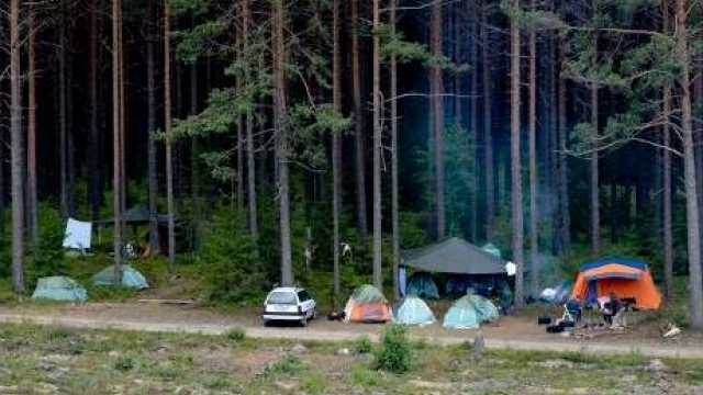 Снимка: Българите често стават жертви на трудова експлоатация в чужбина
