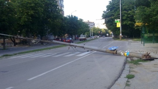 Снимка: Паднал стълб затвори булевард в Добрич