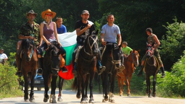 Снимка: 