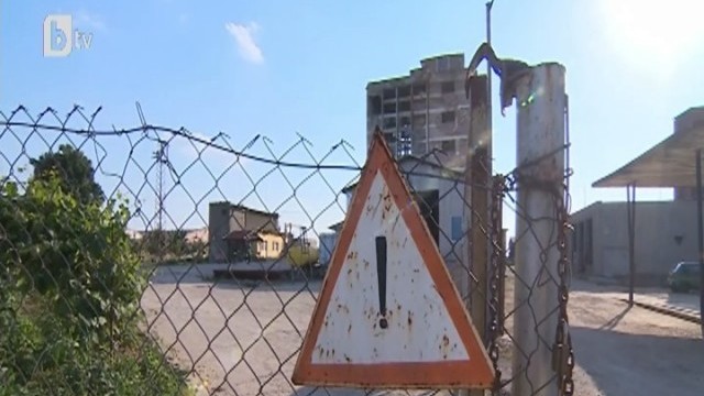 Снимка: Кравар пребит до смърт, заради изпотъпкано от стоката му жито