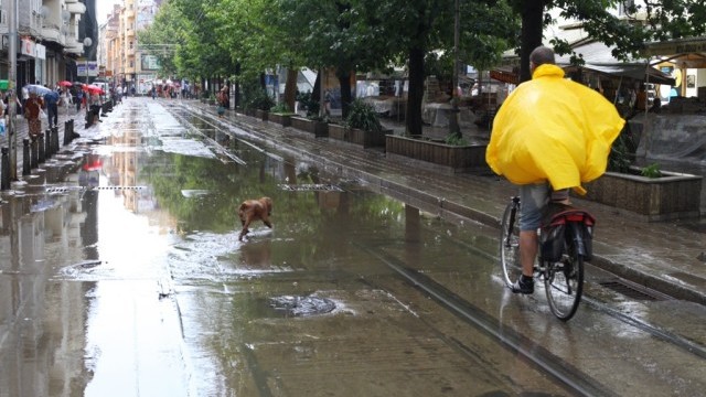 Снимка: Пореден ден 