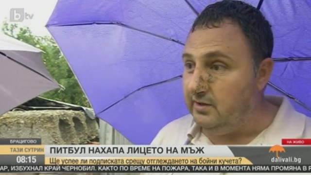Снимка: Брацигово скочи срещу отглеждането на бойни кучета