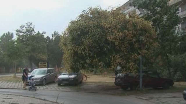 Снимка: Пустинна буря удари Пловдив