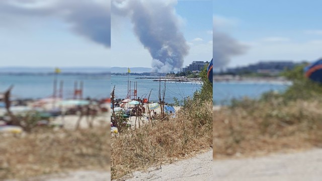 Снимка: Пожар горя в Слънчев бряг