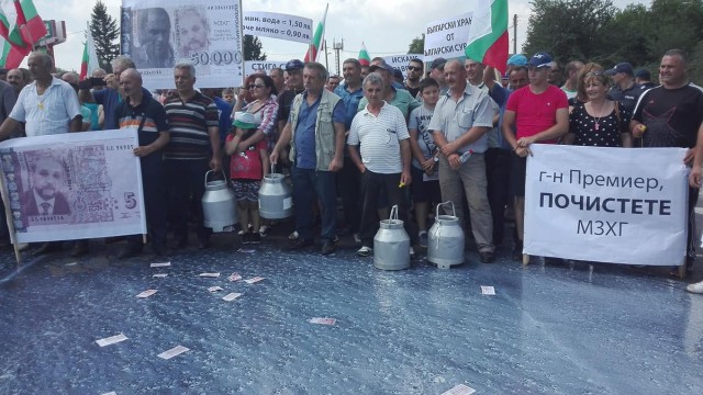 Снимка: Задължава ли ни Европа да унищожим стадата при съмнение за чума?