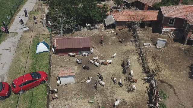 Снимка: Барикадата пред къщата на баба Дора в Шарково остава (ОБЗОР)