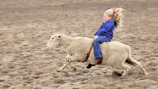 Снимка: Мисъл на деня от Робърт Болт
