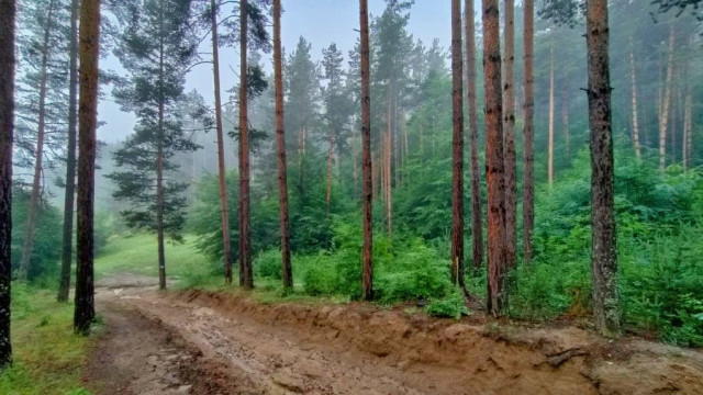 Снимка: Мисъл на деня от Уинстън Чърчил