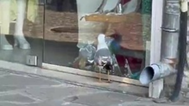 Снимка: Я отваряйте магазина бе