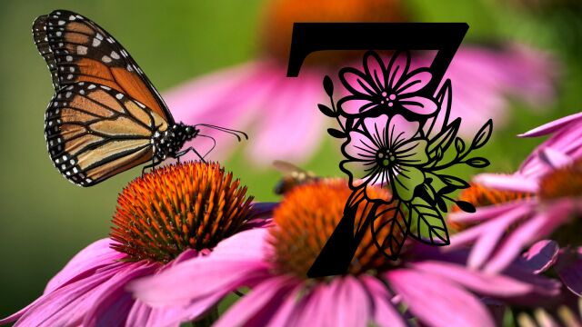 Снимка: Кой празнува имен ден на 7 юли: Света Неделя в неделя 