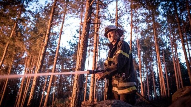Снимка: След дни на тежка битка: Всички пожари в страната са овладяни
