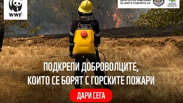 Снимка: Над 90% от горските пожари в България са причинени от човешка дейност