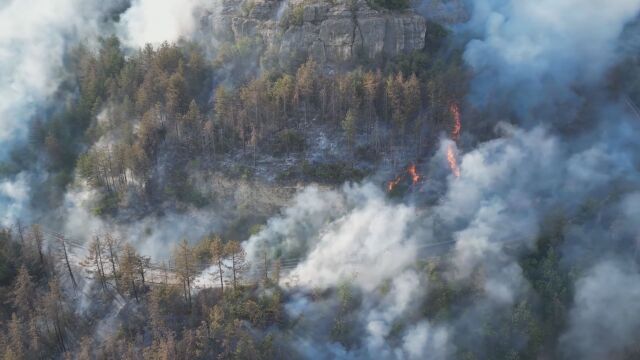 Снимка: За огнения ад от първо лице: Пожарникарите, които овладяха стихията край Арбанаси