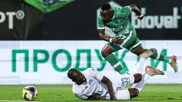 Снимка: Лудогорец се измъчи, но продължава в Шампионска лига