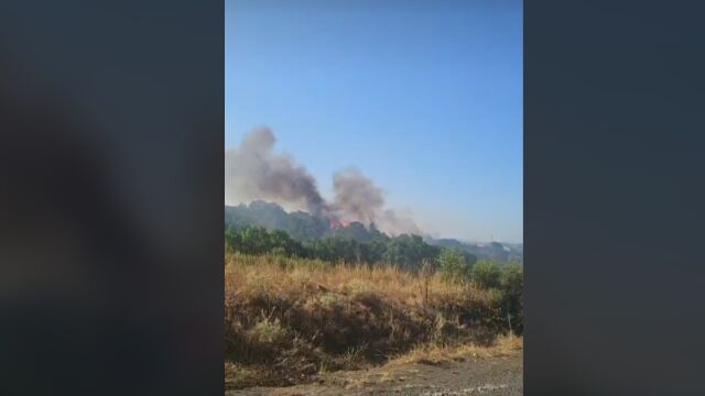 Снимка: Пожар край Зидарово, кметът подозира умишлен палеж
