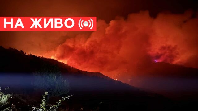 Пожарите в България: Евакуираха с. Плоски, задимяване в Сандански (НА ЖИВО)