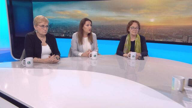 Снимка: Румяна Коларова: Скандалът с полетите на Пеевски е неестествен, защото е в адвокатски стил
