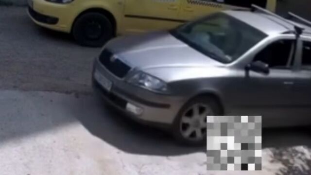 Задържаха мъж, прегазил котка в Казанлък