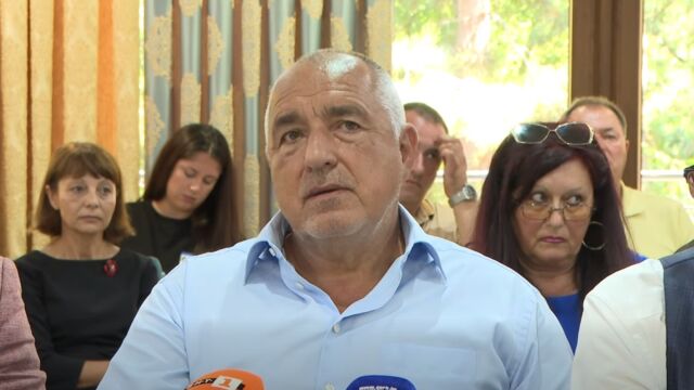 Снимка: Бойко Борисов: Правителството направи поредния си гаф с „Киевската декларация“ (ВИДЕО)