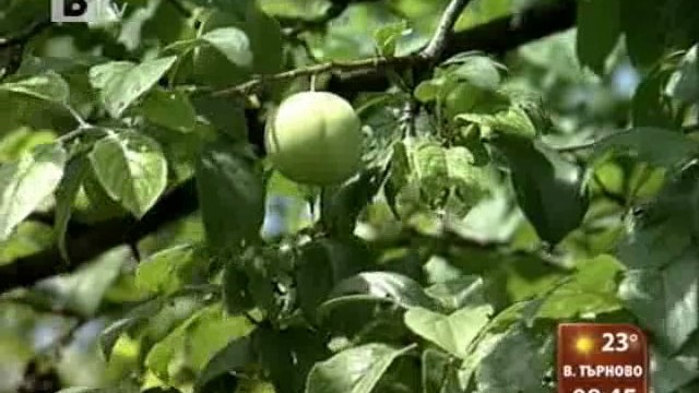 Снимка: В село Бели извор нямали местен полицай