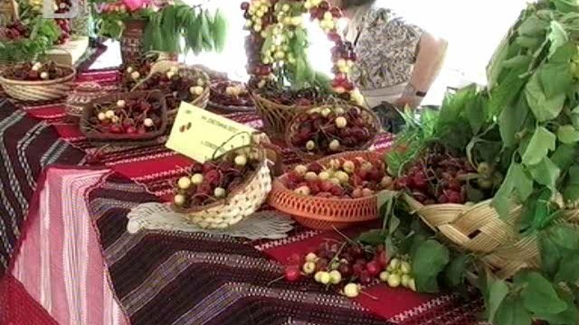 Снимка: В Кюстендил започна празникът на черешата
