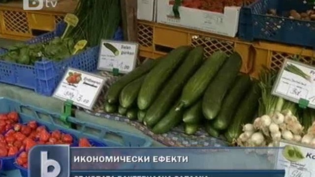 Снимка: Испания губи по 200 млн. евро на седмица заради заразените краставици