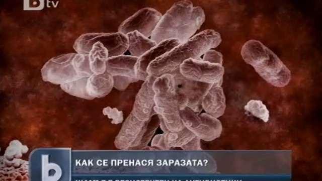 Снимка: Ешерихия коли се предава и от човек на човек
