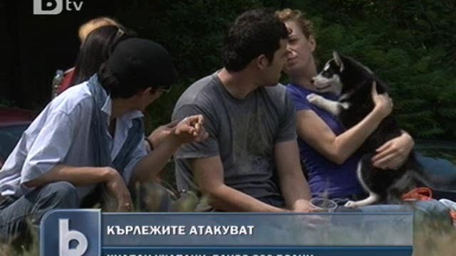 Снимка: Бум на ухапванията от кърлежи