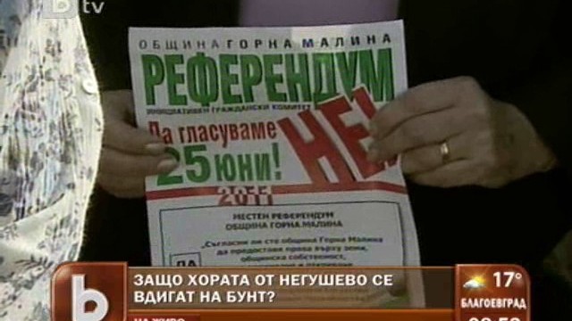 Снимка: Негушево ври и кипи - готви референдум