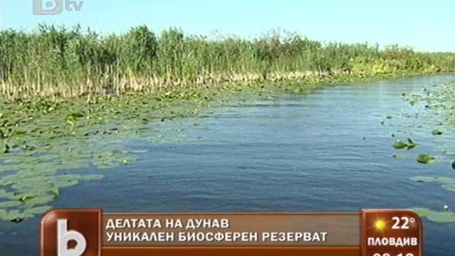 Снимка: Делтата на Дунав - уникален биосферен резерват