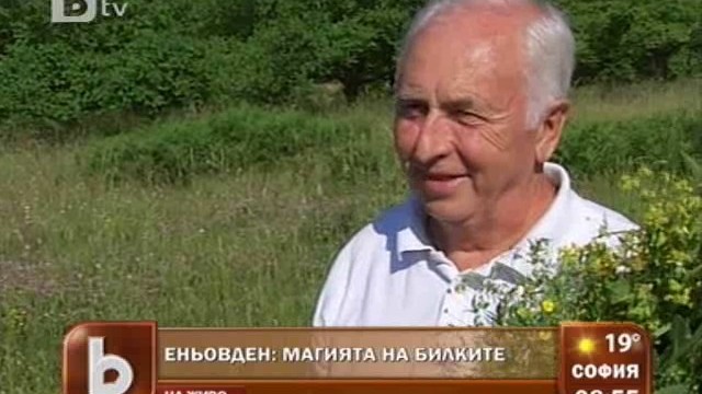 Снимка: И билките, и водата - лековити на Еньовден