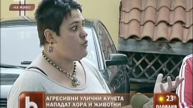 Снимка: Опасни бездомни кучета