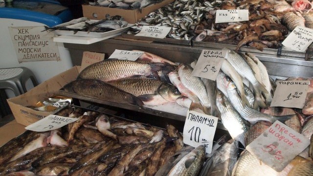Снимка: Пернишка скумрия... с дъх на сероводород и аромат на амоняк