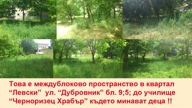 Снимка: Безстопанственост!