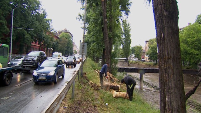 Снимка: Наклонено дърво спря движението между 