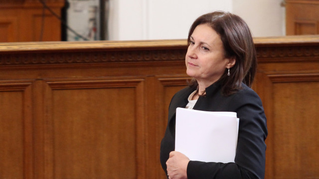 Снимка: Бъчварова: Концепцията за реформа в МВР е готова
