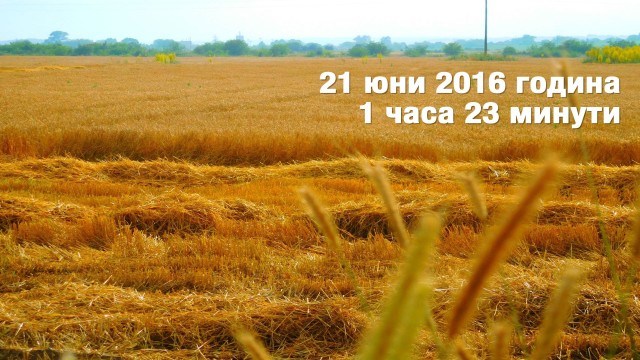 Снимка: Горещо време в първия ден от астрономическото лято 