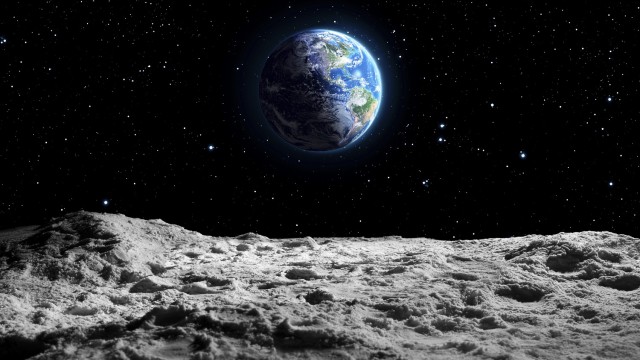 Снимка: Учени отгледаха нахут в лунна „почва“ с помощта на торни червеи и гъби