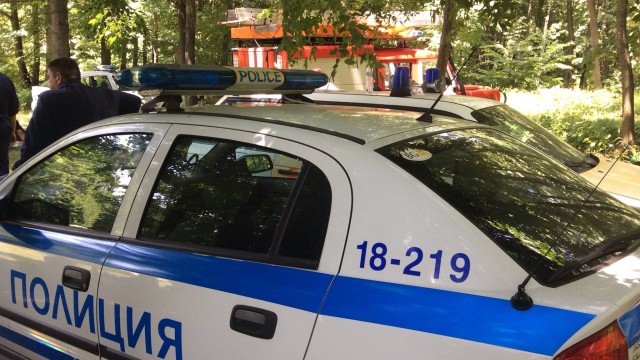 Снимка: Продължава издирването на 3-годишния Димо