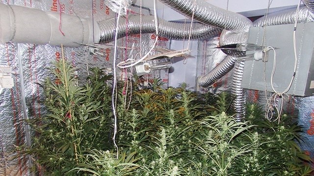 Снимка: Разбиха престъпна наркогрупа от ММА бойци в Бургас