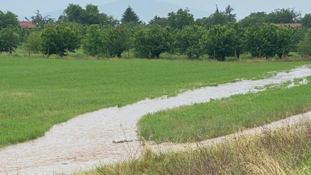 Снимка: Овощни насаждения под вода и изровена пътна настилка в Сливенско