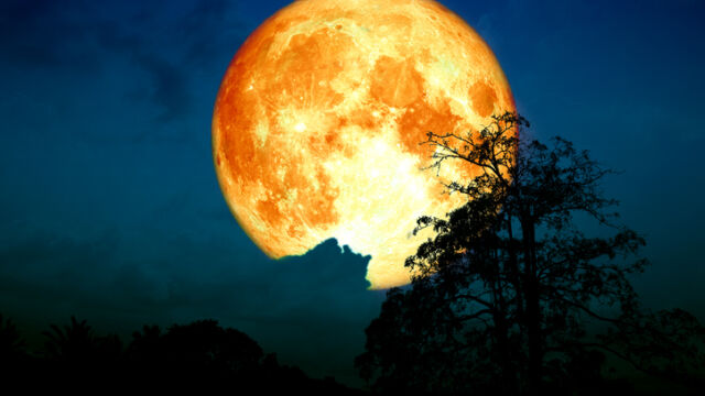 Снимка: Червеева Луна на 3 март: Пълно лунно затъмнение, астрологично влияние и всичко за наблюдението