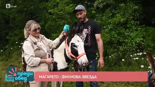Снимка: Магарето Марио стана кинозвезда! (ВИДЕО)