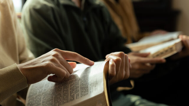 Снимка: 6 февруари: Голям имен ден