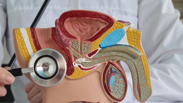 Снимка: 1 на всеки 8 мъже ще бъде диагностициран с рак на простатата