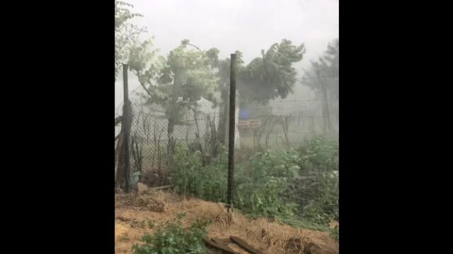Снимка: Градушка, вятър и дъжд: Силна буря в Ямболско (ВИДЕО)