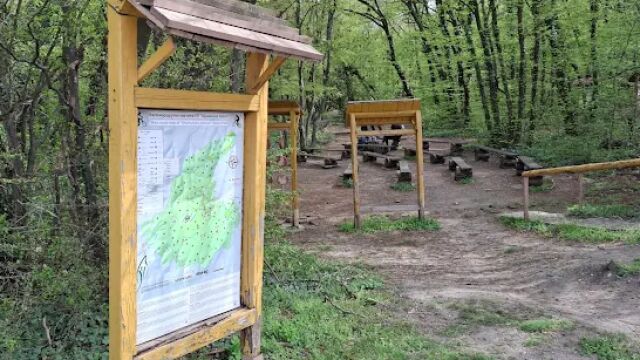 Ограничават достъпа до части от Шуменското плато заради забелязано голямо диво животно